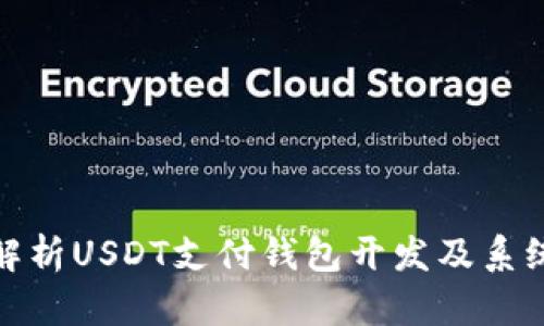 全面解析USDT支付钱包开发及系统策略