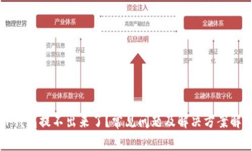 TP钱包提不出来了？常见问题及解决方案解析