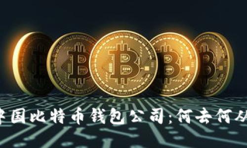 中国比特币钱包公司：何去何从？