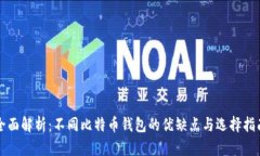 全面解析：不同比特币钱
