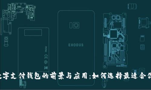 区块链数字支付钱包的前景与应用：如何选择最适合你的钱包？