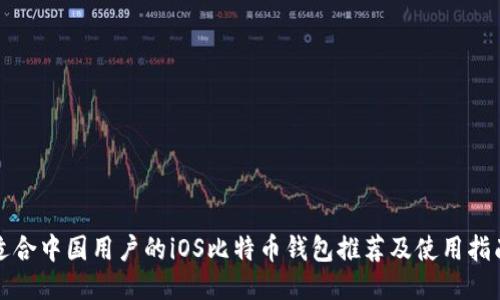 适合中国用户的iOS比特币钱包推荐及使用指南