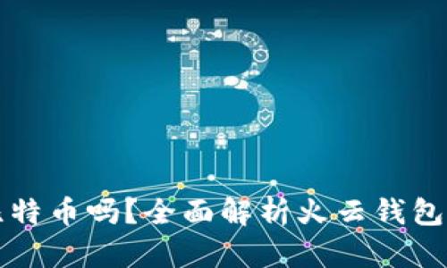 火云钱包支持比特币吗？全面解析火云钱包的数字货币功能