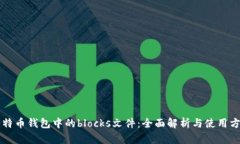 比特币钱包中的blocks文件