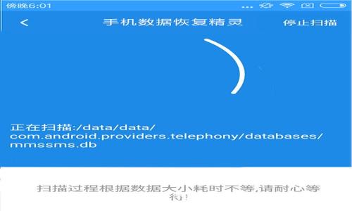 深度解析：萍果比特币钱包的功能与使用指南