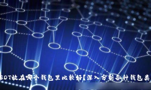 USDT放在哪个钱包里比较好？深入分析各种钱包类型