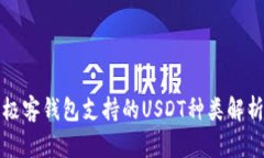极客钱包支持的USDT种类解