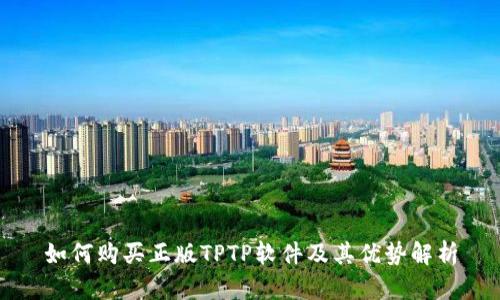 如何购买正版TPTP软件及其优势解析