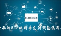 最全面的BTP比特币支付钱