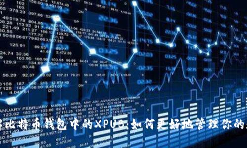 深入了解比特币钱包中的XPUB：如何更好地管理你的数字资产