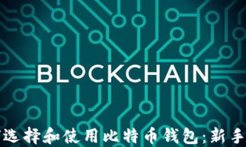 
如何选择和使用比特币钱包：新手指南