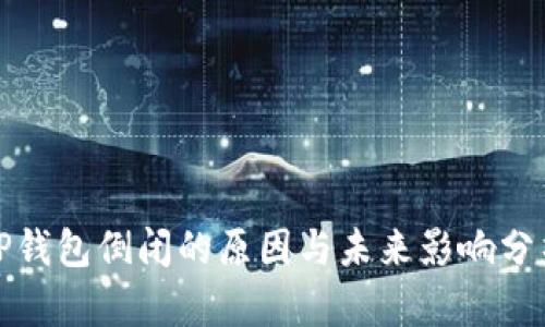 TP钱包倒闭的原因与未来影响分析