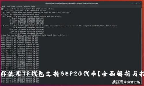 怎样使用TP钱包支持BEP20代币？全面解析与指南
