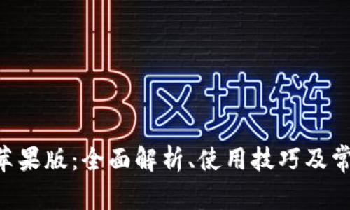 TP钱包App苹果版：全面解析、使用技巧及常见问题解决