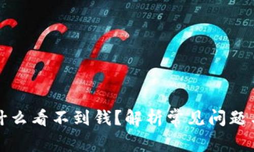 TP钱包为什么看不到钱？解析常见问题与解决方法