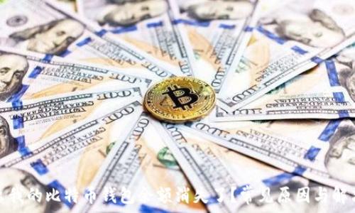   
为什么我的比特币钱包余额消失了？常见原因与解决方案