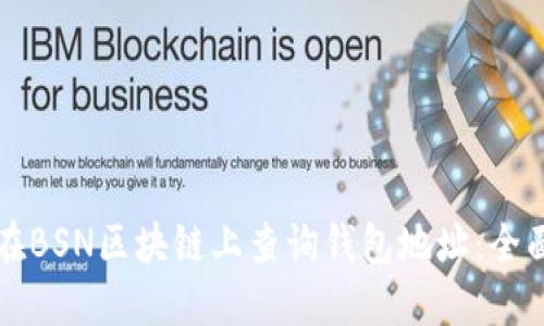 如何在BSN区块链上查询钱包地址：全面指南
