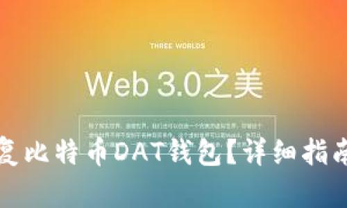 如何恢复比特币DAT钱包？详细指南与技巧