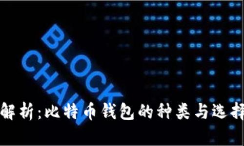 全面解析：比特币钱包的种类与选择指南