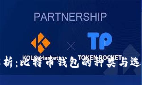 全面解析：比特币钱包的种类与选择指南