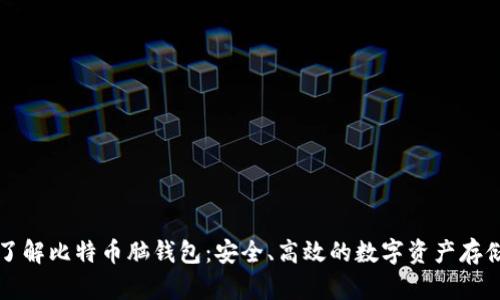 深入了解比特币脑钱包：安全、高效的数字资产存储方式