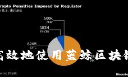 如何安全、高效地使用蓝鲸区块链支付钱包？