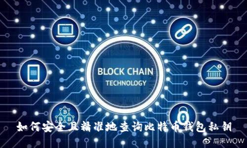 如何安全且精准地查询比特币钱包私钥