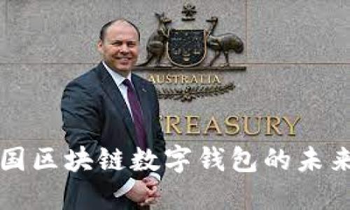 探索中国区块链数字钱包的未来与潜力