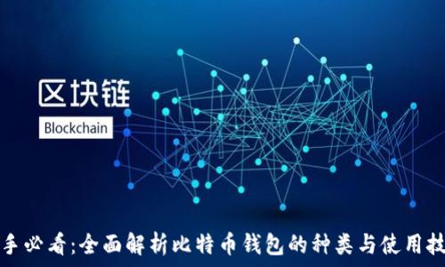  

新手必看：全面解析比特币钱包的种类与使用技巧