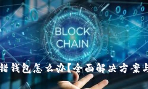 比特币提错钱包怎么办？全面解决方案与实例分析