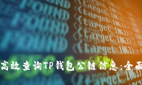 如何高效查询TP钱包公链信息：全面指南