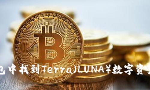 如何在TP钱包中找到Terra（LUNA）数字资产的操作指南