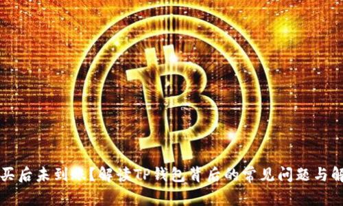 新币购买后未到账？解读TP钱包背后的常见问题与解决方案
