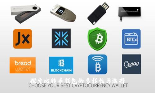 探索比特币钱包的多样性与选择
