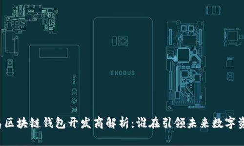 青岛区块链钱包开发商解析：谁在引领未来数字资产?