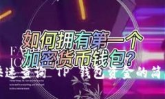 如何快速查询 TP 钱包资金
