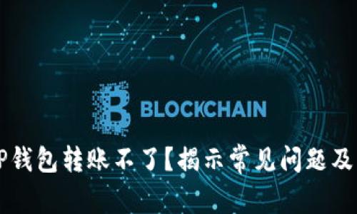 为什么TP钱包转账不了？揭示常见问题及解决方案