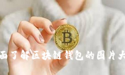 全面了解区块链钱包的图片大全