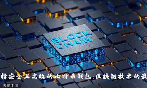 如何选择安全且高效的比特币钱包：区块链技术的最佳实践