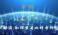  深入解读：如何查看比特