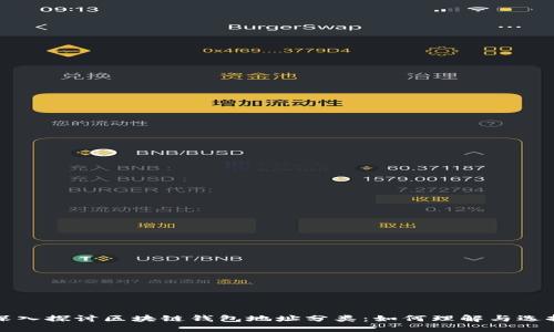 深入探讨区块链钱包地址分类：如何理解与选择