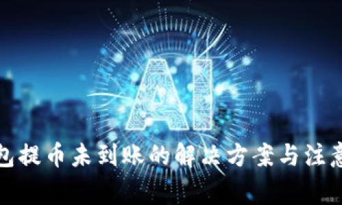 TP钱包提币未到账的解决方案与注意事项