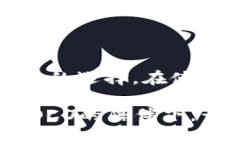 提升安全性与便捷性的C