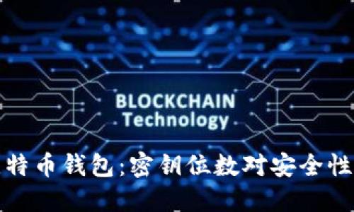 深入解读比特币钱包：密钥位数对安全性的深远影响