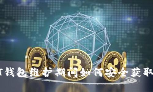 USDT钱包维护期间如何安全获取资金