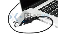 为何Rice币可以在TP钱包上