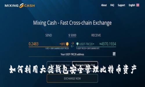 如何利用大佬钱包安全管理比特币资产