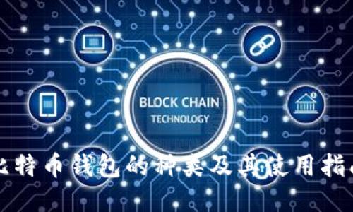 比特币钱包的种类及其使用指南