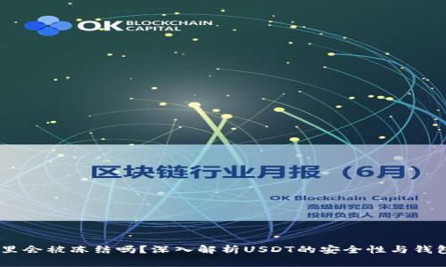 USDT放在钱包里会被冻结吗？深入解析USDT的安全性与钱包使用注意事项