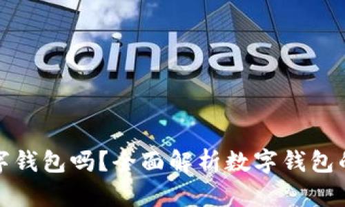 比特币需要数字钱包吗？全面解析数字钱包的重要性及选择